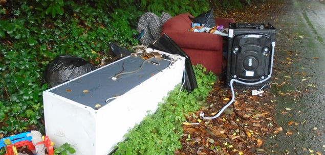 Cleaning up Fly Tipping