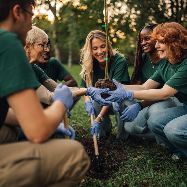 Working With Major Uk Charity to Maximise Environmental Impact
